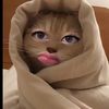 azahra._157