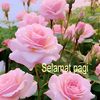 hnycloud1