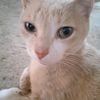 user27612042418183