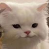 user1837281965