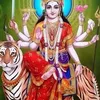navrajkc848