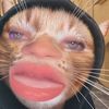 gabbynonthemhaters