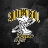 TheeSouthernSoulSteppa