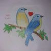 usergdo6plnl55