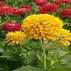 md.kaisar.aisa