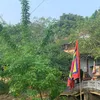 minhlinh488