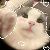 julia_ssfdf
