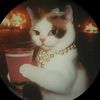 ennyta_