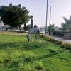 khadijakhaled705
