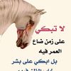 user46137220065483