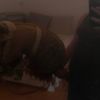 labro_delcrazyhorse