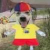 i_love_clowns
