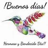 carlosalbertogarc894