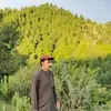 guleshah8