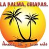 lapalmachiapas