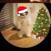 daniel_azer