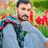 tauqeer.sanwal5