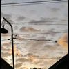 nopallroifan_11