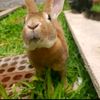 alexis_7670