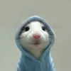 t_anh0806