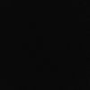 branden_l2
