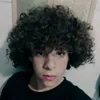 theus.sxds