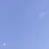 _conong17