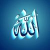 hakinyolu571