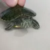 alexturtle999