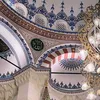 a.sul1