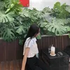 hahuyen205