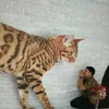 rudirindu89rindu