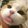 hura_712