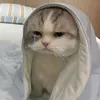 zuikatori