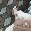 𝒩،