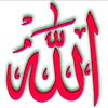 shahbaznaseer1