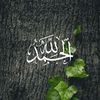 amal22456