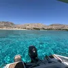ellisrules11