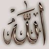 tanvir.hasan2968