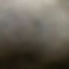 raid_gold2