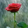 user43541175040337
