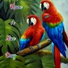 karim.bux236
