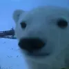 aaron_dagoat000