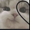 juice_745