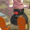 Pingu