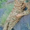 _mzubair1