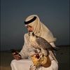 saad11371