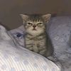 salmaa_khaled_16
