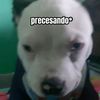 .swftim1