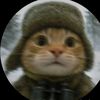 gatoterrorista0